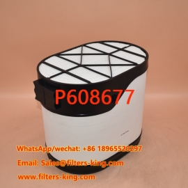P608677 PowerCore Filter