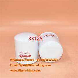 33125 Fuel Filter