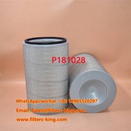 P181028 Air Filter