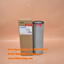 P141319 Air Filter