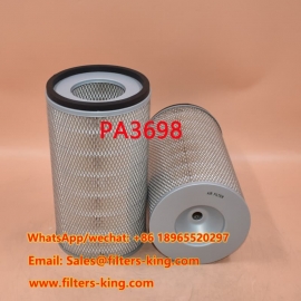 PA3698 Air Filter