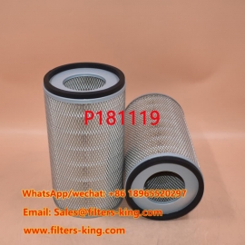 P181119 Air Filter