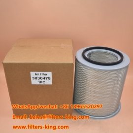 3836478 Air Filter