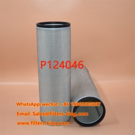 Air Filter P124046