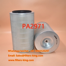 PA2971 Air Filter
