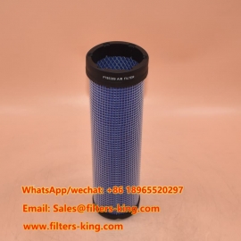 P785389 Air Filter