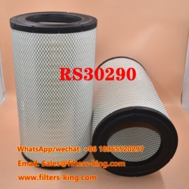 RS30290 Air Filter