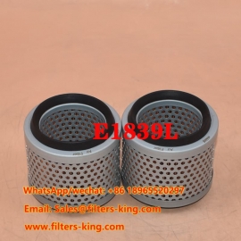 Air Filter E1839L
