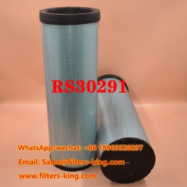 RS30291 Air Filter