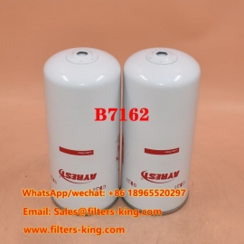 B7162 Oil Filter