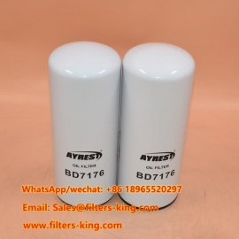 BD7176 Oil Filter