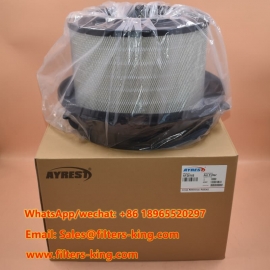 AF26165 Air Filter