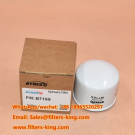 B7165 Oil Filter