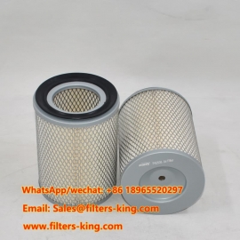 PA2536 Air Filter