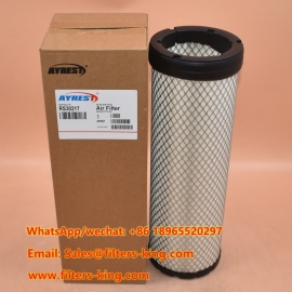 RS30217 Air Filter