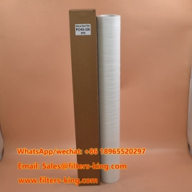 PCHG-336 Natural Gas Filter