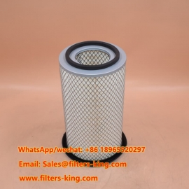 AF25302 Air Filter