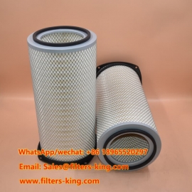 AF25294 Air Filter Element