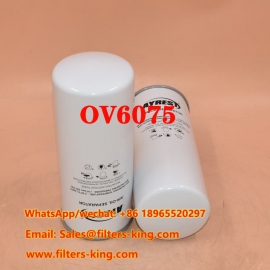 OV6075 Air Oil Separator