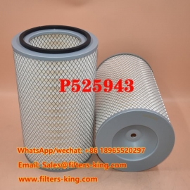 P525943 Air Filter