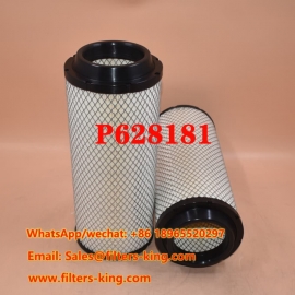 Air Filter P628181