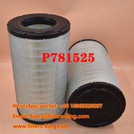 P781525 Air Filter