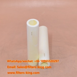 Coalescing Filter Element 100-25-DX