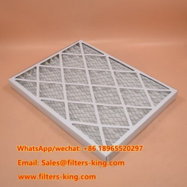 Pleated Air Filter 4300801