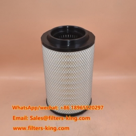 Air Filter 500055621