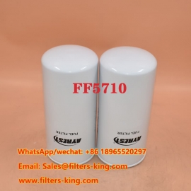 Fuel Filter FF5710