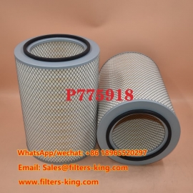 P775918 Air Filter