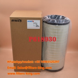 P618930 Air Filter