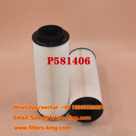 P581406 Fuel Filter