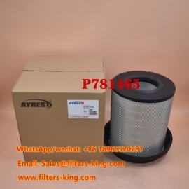 Air Filter P781465