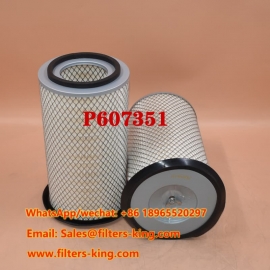 P607351 Air Filter