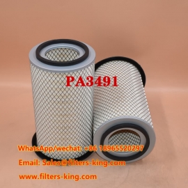PA3491 Air Filter