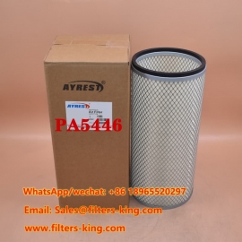 Air Filter PA5446