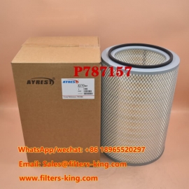 P787157 Air Filter