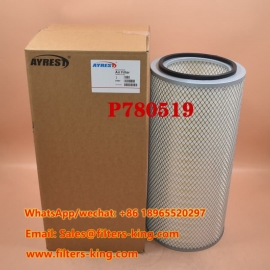 P780519 Air Filter