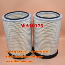 Air Filter WA10175