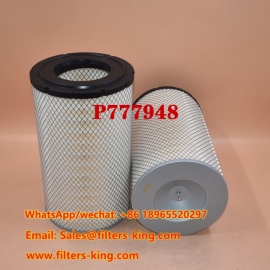 P777948 Air Filter