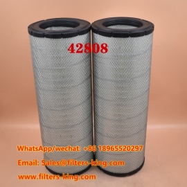 Air Filter 42808