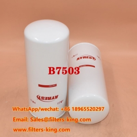 Oil Filter B7503