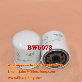 BW5073 Coolant Filter