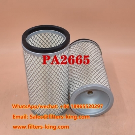 Air Filter PA2665