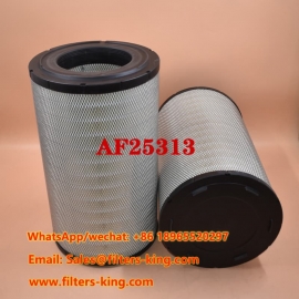 AF25313 Air Filter