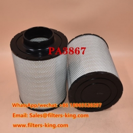 PA3867 Air Filter