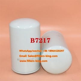 B7217 Oil Filter