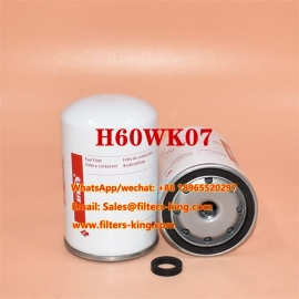 Fuel Filter H60WK07