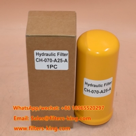 Hydraulic Filter CH-070-A25-A